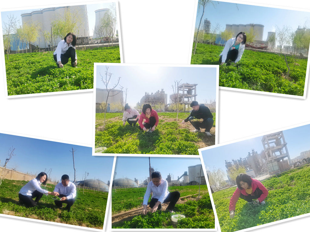 2022040616120017356 2022040616120017356